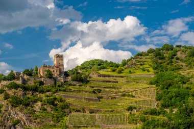 Gutenfels (Caub) Kalesi ve üzüm bağları Ren Vadisi (Ren Gorge), Kaub, Almanya yakın. Yerleşik 1220.