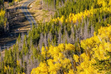 Rocky Dağı Ulusal Parkı 'nda sonbahar güneşli bir günde otoyol. Colorado, ABD. 