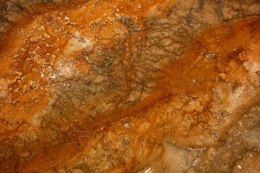 Sıcak termal bahar Yellowstone Milli Parkı, Wyoming, ABD