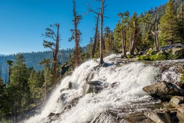 Kartal Falls adlı Lake Tahoe California, ABD