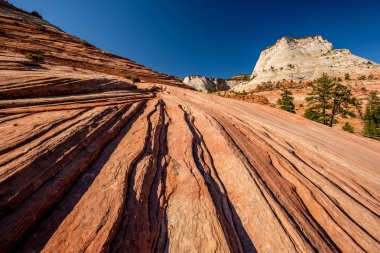 Utah, ABD 'deki Zion Ulusal Parkı' ndaki kaya oluşumlarıyla manzara