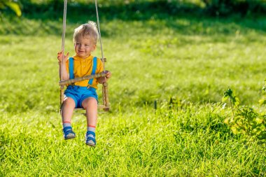 Açık havada sallanan yürümeye başlayan çocuk portresi. Salıncak, erkek bebek ile kırsal sahne. Sağlıklı okul öncesi çocuklar yaz etkinliği. Dışarıda oynayan çocuk. 