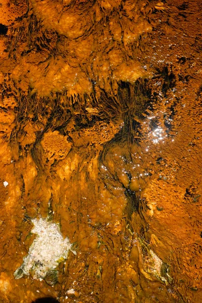 Sıcak Termal Bahar Yellowstone Milli Parkı Wyoming Abd — Stok fotoğraf