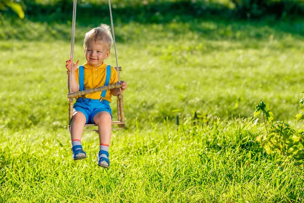 Portrait Toddler Child Swinging Outdoors Rural Scene Baby Boy Swing — Stock Photo, Image