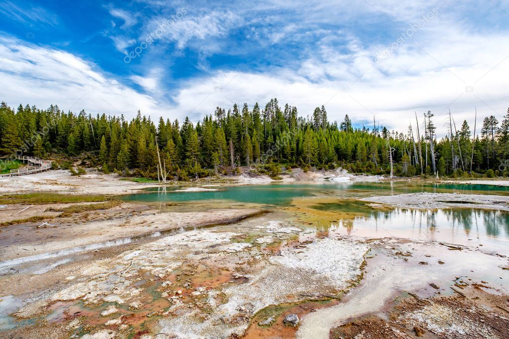 Hot thermal spring at Mammoth Hot Springs area in Yellowstone National Park, Wyoming, USA