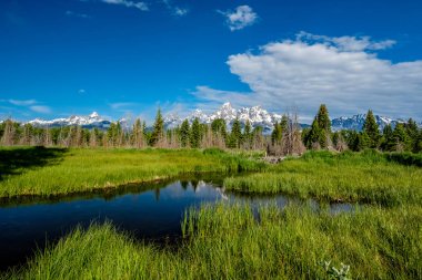 Sabahleyin Snake River 'daki Schwabacher' s Landing 'den Grand Teton Dağları. Grand Teton Ulusal Parkı, Wyoming, ABD.