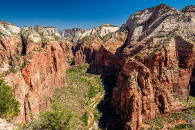 Utah, ABD 'deki Zion Ulusal Parkı' ndaki kaya oluşumlarıyla manzara