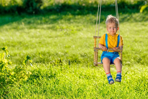 Retrato Niño Pequeño Balanceándose Aire Libre Escena Rural Con Niño —  Fotos de Stock