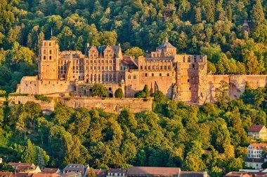 Heidelberg, Almanya 'da Neckar nehrinde bir şehirdir. 