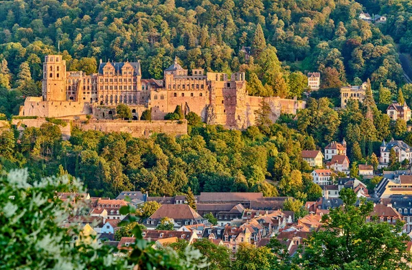 Heidelberg town on Neckar river, Germany — Stock Photo, Image