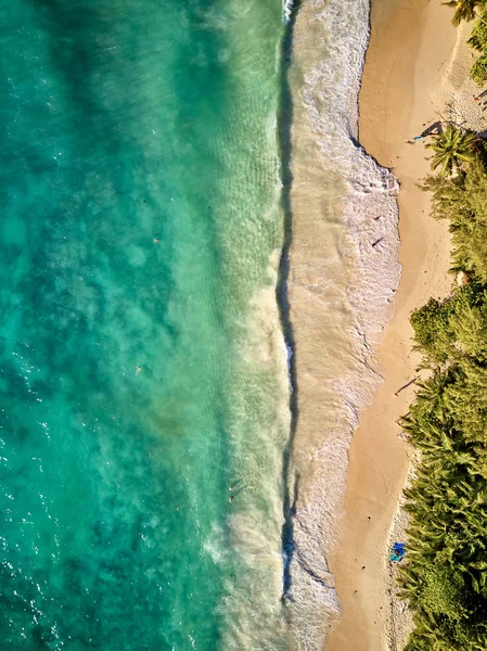 Beach at Seychelles aerial top view — Stockfoto