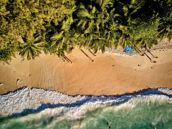 Plage aux Seychelles vue aérienne du dessus — Photo