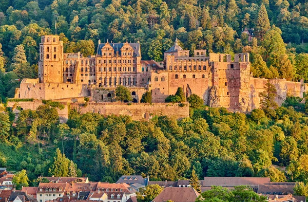 Heidelberg town on Neckar river, Germany — Stock Photo, Image