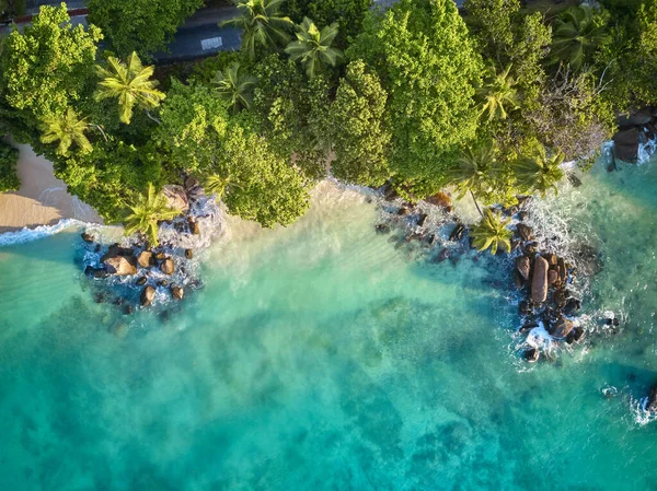 Prachtig Strand Met Palmbomen Rotsen Bovenaanzicht Drone Schot Seychellen Mahe — Stockfoto