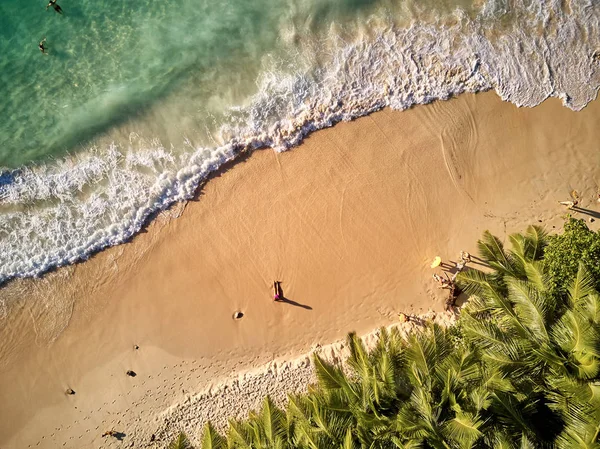 Prachtig Strand Met Palmbomen Bovenaanzicht Drone Schot Seychellen Mahe — Stockfoto