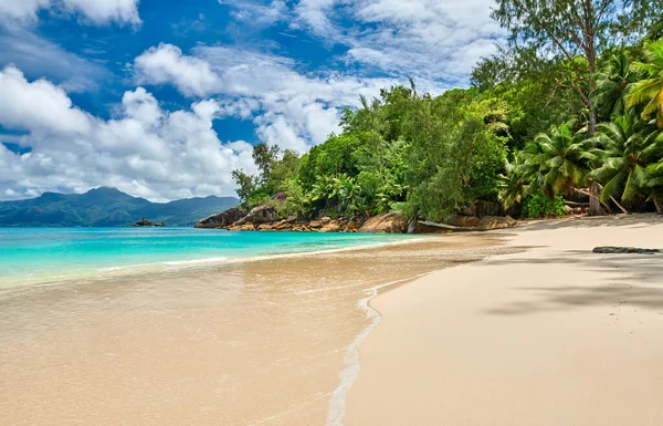 Vacker Strand Anse Soleil Seychellerna Mahe — Stockfoto