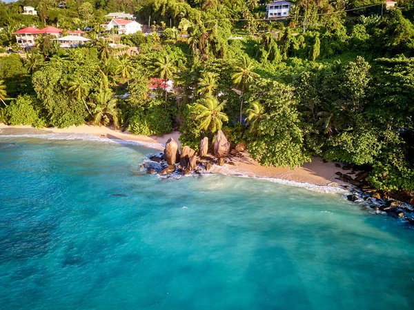 Praia Bonita Com Palmeiras Aérea Vista Superior Drone Tiro Seychelles — Fotografia de Stock