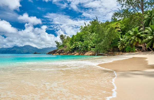 Schöner Strand Anse Soleil Auf Den Seychellen Mahé — Stockfoto