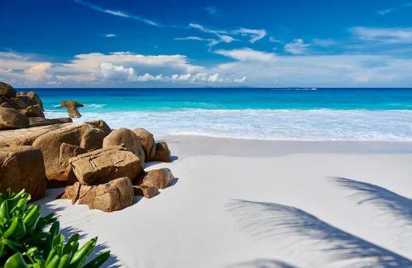 Vacker Carana Strand Med Palm Skugga Seychellerna Mahe — Stockfoto