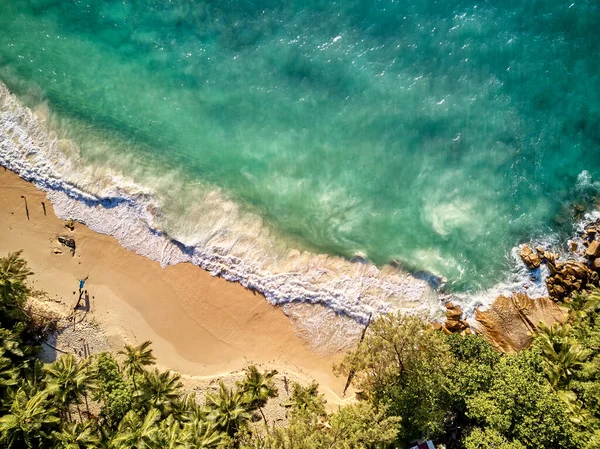 Prachtig Strand Met Palmbomen Bovenaanzicht Drone Schot Seychellen Mahe — Stockfoto