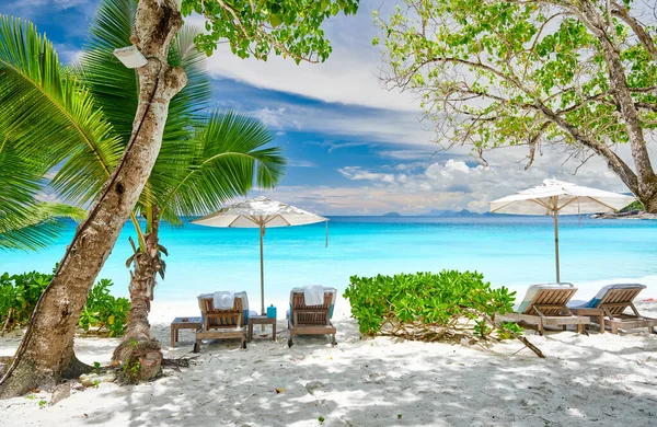 Vacker Petite Anse Strand Med Palm Vid Seychellerna Mahe — Stockfoto