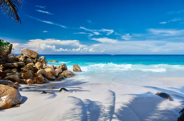 Praia Carana Bonita Com Sombra Palmeira Seychelles Mahe — Fotografia de Stock