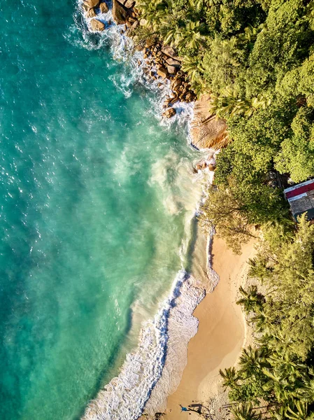 Prachtig Strand Met Palmbomen Bovenaanzicht Drone Schot Seychellen Mahe — Stockfoto