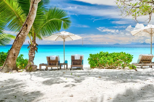 Bella Spiaggia Petite Anse Con Palma Alle Seychelles Mahe — Foto Stock