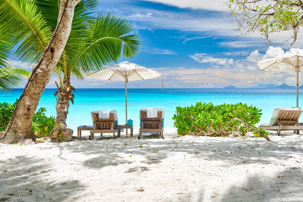 Beautiful Petite Anse beach with palm tree at Seychelles, Mahe