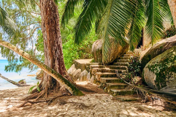 Hermosa Playa Anse Soleil Seychelles Mahe — Foto de Stock