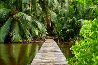 Seyşeller 'deki güzel göl, Mahe.