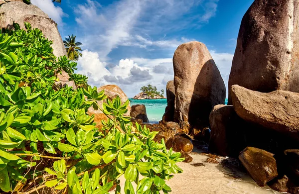 美しいビーチヤシの木とセイシェルの岩の風景 マヘ島 — ストック写真