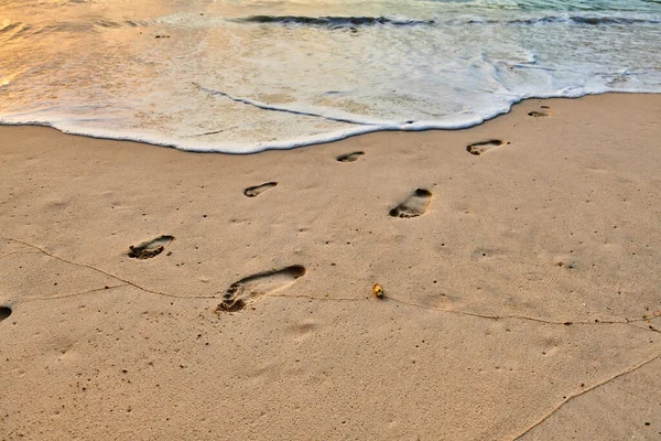 Voetafdrukken Van Volwassen Kind Het Strand Met Goudkleurig Zand — Stockfoto