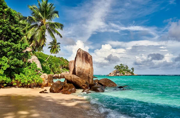 Seyşeller Palmiye Ağaçları Kaya Manzaralı Güzel Bir Sahil Mahe — Stok fotoğraf