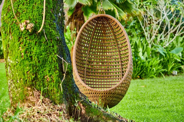 Beach Swing Egg Chair Mahe Seychelles — Stock Photo, Image