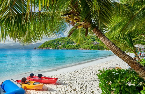 Praia Petite Anse Bonita Com Caiaques Palmeira Seychelles Mahe — Fotografia de Stock