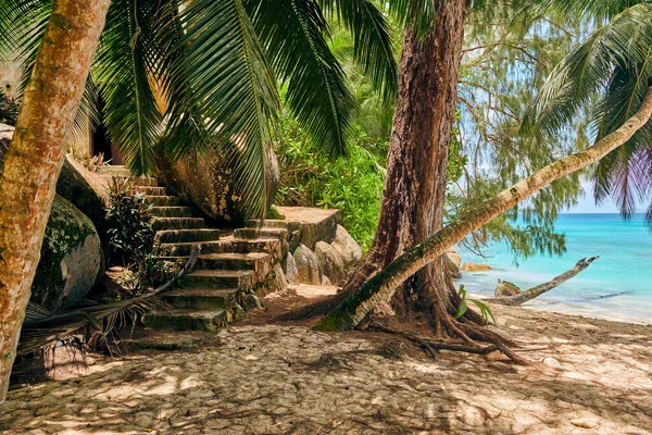 Beautiful Beach Anse Soleil Seychelles Mahe — стокове фото