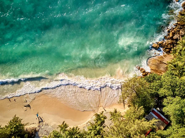 Praia Bonita Com Palmeiras Aérea Vista Superior Drone Tiro Seychelles — Fotografia de Stock