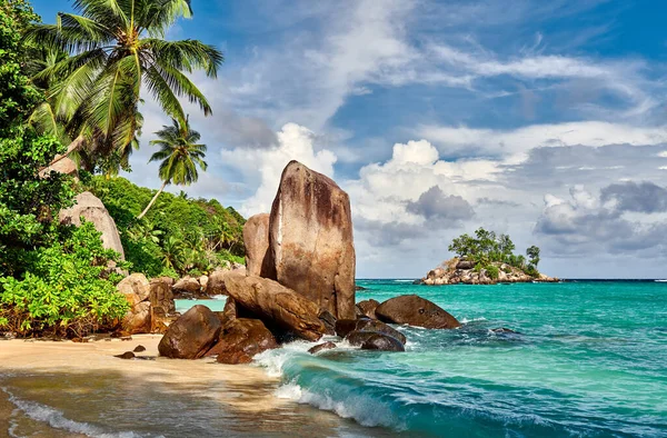 Beautiful Beach Palm Tree Rocks Landscape Seychelles Mahe — Stock Photo, Image