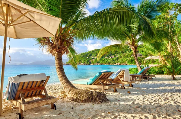 Bella Spiaggia Petite Anse Con Palma Alle Seychelles Mahe — Foto Stock