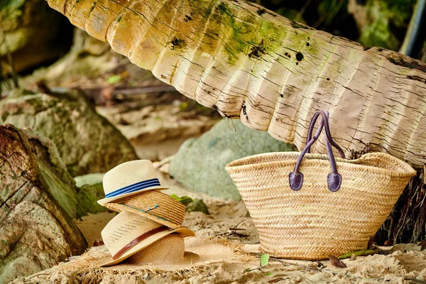 Strandtaske Huer Ved Palmetræ Ved Mahe Seychellerne - Stock-foto