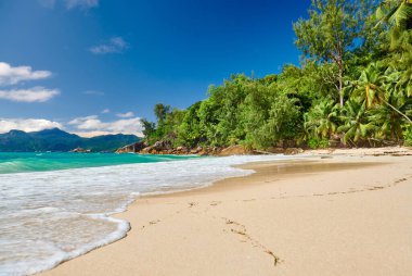 Seyşeller 'de palmiye ağacı olan güzel sahil Anse Soleil, Mahe