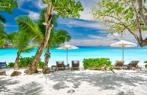 Vacker Petite Anse Strand Med Palm Vid Seychellerna Mahe — Stockfoto