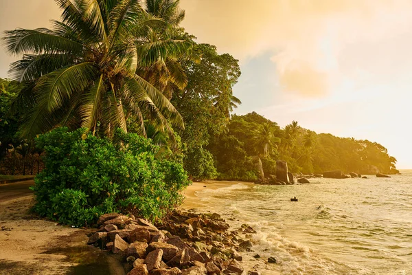 塞舌尔马埃岛美丽的海滩 有棕榈树和岩石景观 — 图库照片