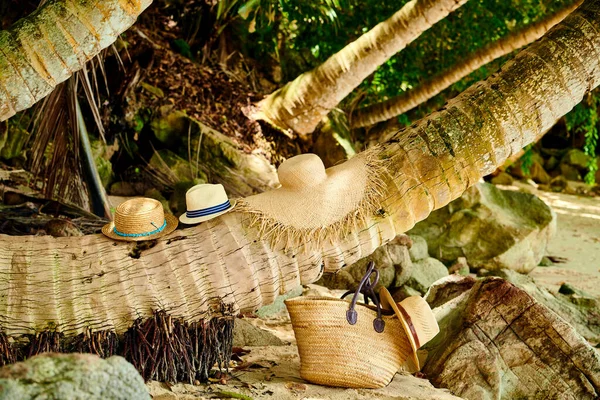 塞舌尔马埃棕榈树旁的海滩袋和帽子 — 图库照片