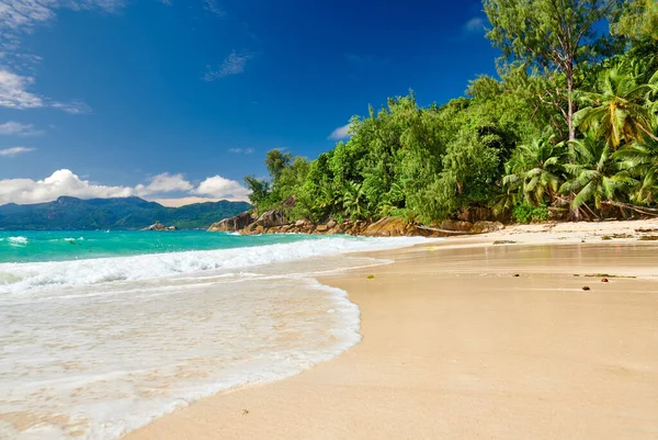 Hermosa Playa Anse Soleil Con Palmera Seychelles Mahe — Foto de Stock