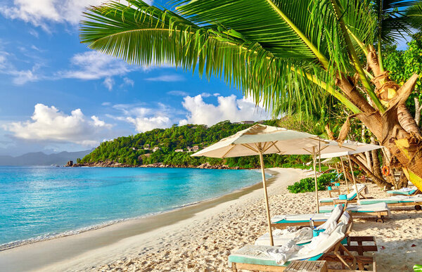 Beautiful Petite Anse beach with palm tree at Seychelles, Mahe