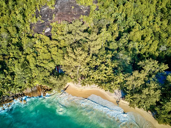 Prachtig Strand Met Palmbomen Bovenaanzicht Drone Schot Seychellen Mahe — Stockfoto