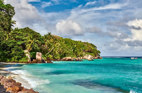 Bella Spiaggia Con Palme Rocce Paesaggio Alle Seychelles Mahe — Foto Stock