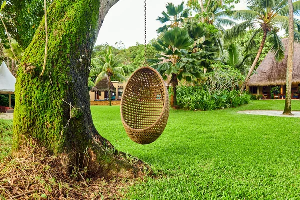 Beach Swing Egg Chair Mahe Seychelles — Stock Photo, Image